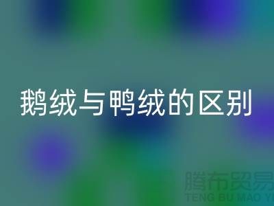 “鹅鸭之争” 鹅绒与鸭绒的区别-鸭绒开云手机入口官网多少钱一斤-库存羽绒开云手机入口官网公司