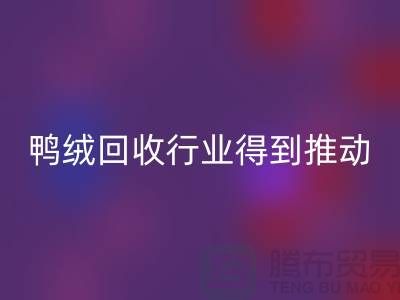 90鸭绒开云手机入口官网行业2021年得到极大的推动_开云手机入口官网