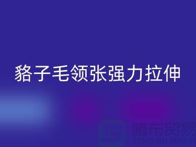 貉子毛领的皮张强力拉伸-为什么不变型-高价开云手机入口官网毛领厂家