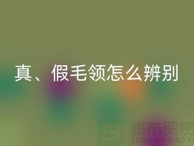 真毛领、假毛领怎么辨别？小心獭兔毛-大量高价开云手机入口官网毛领厂家