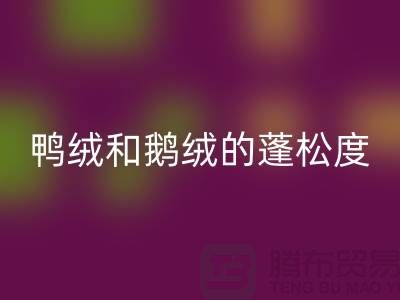 鸭绒和鹅绒的蓬松度如何识别-开云手机入口官网库存鸭绒-开云手机入口官网库存鹅绒厂家