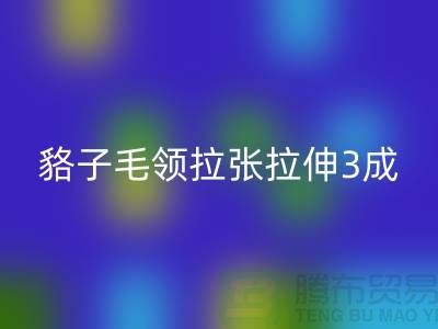 貉子毛领的皮张拉伸3成,痕迹客户也看不出来-开云手机入口官网毛领厂家