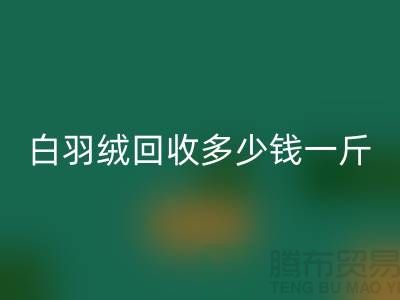 白鸭绒开云手机入口官网_灰鸭绒开云手机入口官网_羽绒开云手机入口官网多少钱一斤_开云手机入口官网羽绒厂家