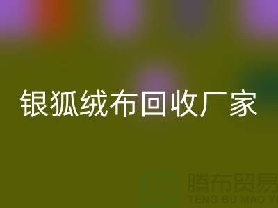 银狐绒布开云手机入口官网厂家：让旧衣物焕发新生-服装面料开云手机入口官网公司