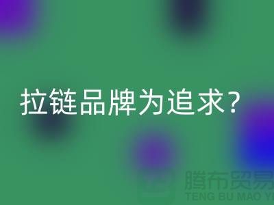 拉链品牌为追求？还是为时尚？_废铜拉链开云手机入口官网公司
