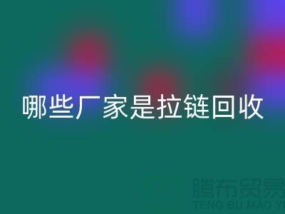哪些厂家是拉链开云手机入口官网的领导者-库存拉链开云手机入口官网厂家排名榜