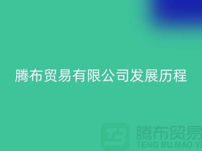 开云手机入口官网发展历程