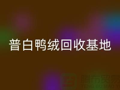 普白鸭绒开云手机入口官网基地：环保与经济的完美结合-纯白鹅绒开云手机入口官网厂家