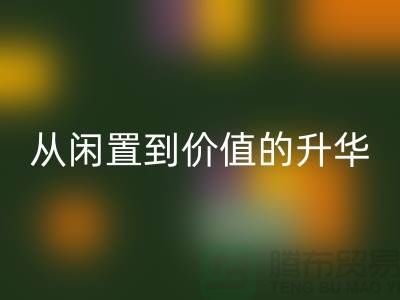 羽绒服开云手机入口官网：从闲置到价值的升华之路