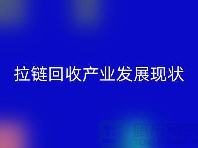 拉链开云手机入口官网产业发展现状特点及上海拉链开云手机入口官网厂家解析 