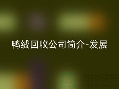 鸭绒开云手机入口官网公司简介-发展背景-业务范围-技术优势-鹅绒开云手机入口官网厂家