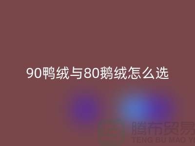 90鸭绒与80鹅绒怎么选好？一篇文章为你解惑！上海腾布贸易