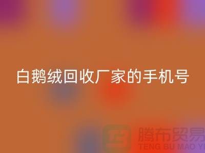 羽绒开云手机入口官网基地的位置,鸭绒开云手机入口官网行情报价,以及白鹅绒开云手机入口官网厂家的手机号