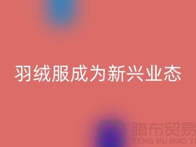 开云手机入口官网库存羽绒服成为新兴业态-库存羽绒服收购价格以及地址