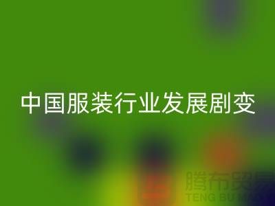 中国服装行业发展剧变-成败重要途径-上海库存服装开云手机入口官网公司