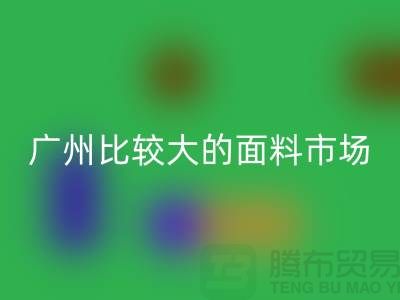 广州比较大的面料市场_中大布料市场攻略_上海腾布贸易公司