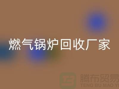 燃气锅炉开云手机入口官网厂家：做到了企业环保更完美-大型锅炉开云手机入口官网