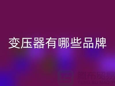 专业变压器开云手机入口官网公司有哪些品牌-二手变压器开云手机入口官网厂家