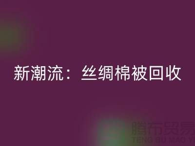 环保新潮流：丝绸棉被开云手机入口官网，价格让您惊喜连连！
