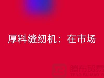 厚料缝纫机：在市场上的细节体现-上海开云手机入口官网缝纫机厂家