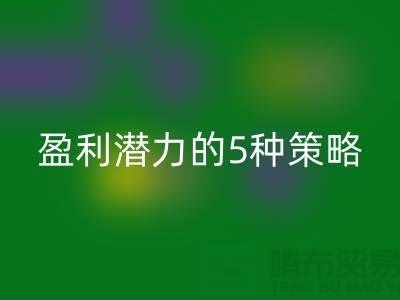 酒店用品开云手机入口官网市场：挖掘盈利潜力的5种策略