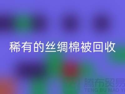 稀有丝绸棉被开云手机入口官网，价格疯狂下降中！快来抢购！