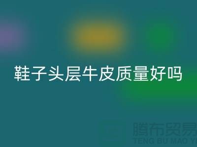 鞋子头层牛皮和超纤皮哪个好——开云手机入口官网真皮厂家