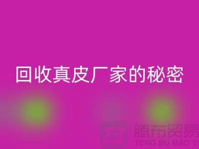 开云手机入口官网真皮厂家的秘密：打造环保时尚的循环经济