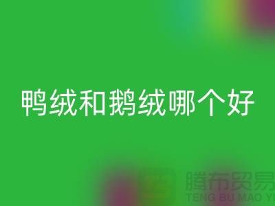 1739335557725822.png 855f7cd60585a9e01842835fe76774ef_1.png