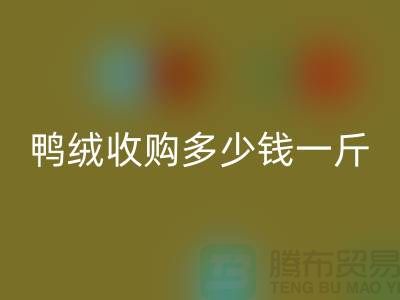 灰鸭绒、白鸭绒收购多少钱一斤