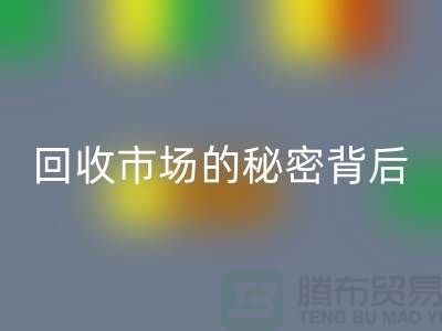 探索上海服装面料开云手机入口官网市场的秘密背后