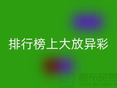 想知道哪些拉链品牌在排行榜上大放异彩？