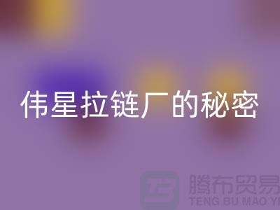 伟星拉链的秘密：揭开成功品牌背后的故事