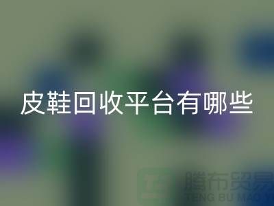 真皮皮鞋开云手机入口官网平台有哪些——上海光头库存开云手机入口官网公司