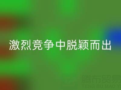 上海库存布料开云手机入口官网市场：如何在激烈竞争中脱颖而出