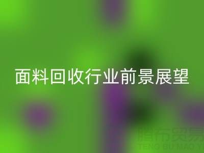 南通库存面料开云手机入口官网行业前景展望：开启新篇章