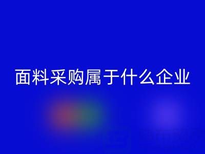 中国国际面料采购中心属于什么企业