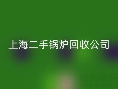 上海二手锅炉开云手机入口官网公司：专业处理供暖、低压、中压锅炉开云手机入口官网服务