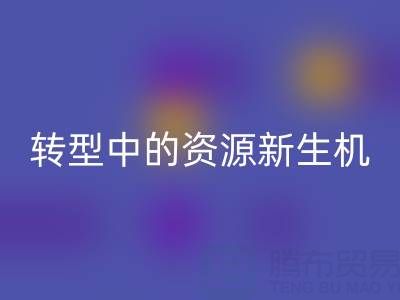 上海服装面料开云手机入口官网：绿色转型中的资源新生机
