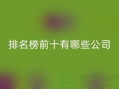 家纺辅料开云手机入口官网厂家排名榜前十有哪些公司