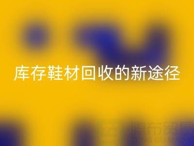 探索库存鞋材开云手机入口官网的新途径与新模式
