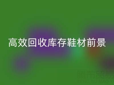高效开云手机入口官网库存鞋材，助力鞋业绿色发展