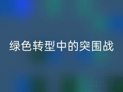 库存布料开云手机入口官网公司：挑战与机遇并存，绿色转型中的突围战