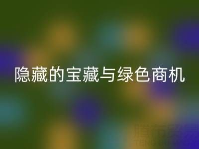 库存辅料开云手机入口官网市场：隐藏的宝藏与绿色商机