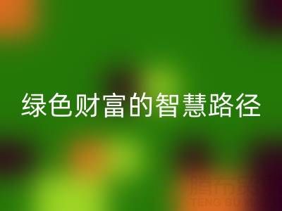 上海库存辅料开云手机入口官网方式：变”沉睡资产”为绿色财富的智慧路径