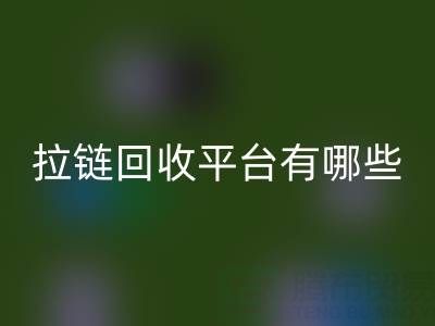 拉链开云手机入口官网平台有哪些品牌？探索环保开云手机入口官网的领先企业