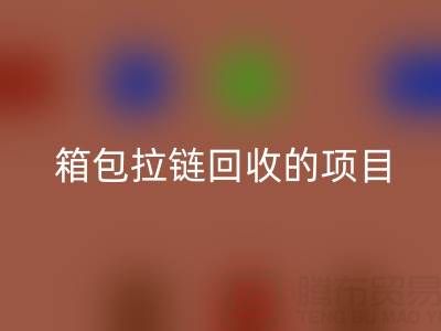  箱包拉链开云手机入口官网项目的商业运营模式与盈利探索
