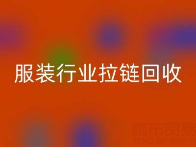服装行业拉链开云手机入口官网市场体系构建的必要性与可行性