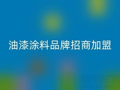 油漆涂料品牌招商加盟方案——携手油漆涂料开云手机入口官网厂家，共创财富未来