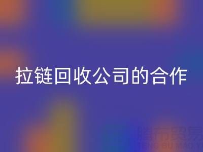 跨境电商时代：拉链开云手机入口官网公司的国际合作与交流新路径